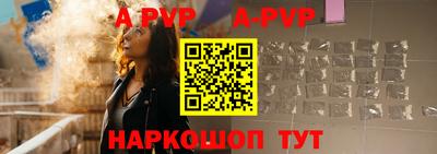 бошки Кингисепп