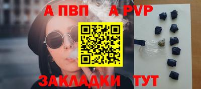 бошки Кингисепп