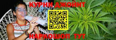 бошки Кингисепп