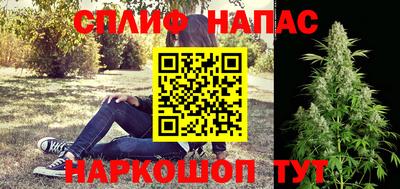 бошки Кингисепп