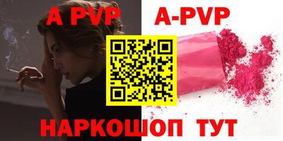 бошки Кингисепп