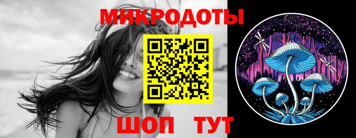 что такое наркотик  Вход с VPN  Псилоцибиновые грибы ЛСД  Иркутск  Галлюциногенные грибы Psilocybine cubensis 
