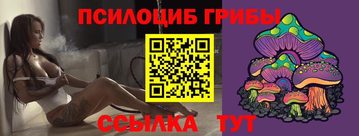 Псилоцибиновые грибы Psilocybe Иркутск