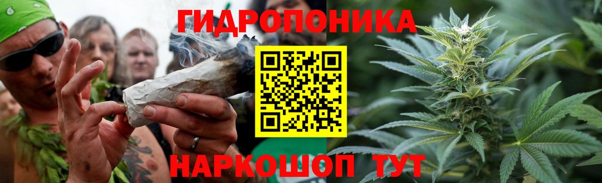 Конопля планчик  Марихуана сатива  Каннабис White Widow  Иркутск  Вход с VPN 
